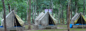 Birds Nest Resorts