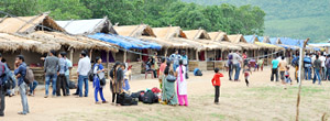 Sirivaka Bamboo Huts Booking